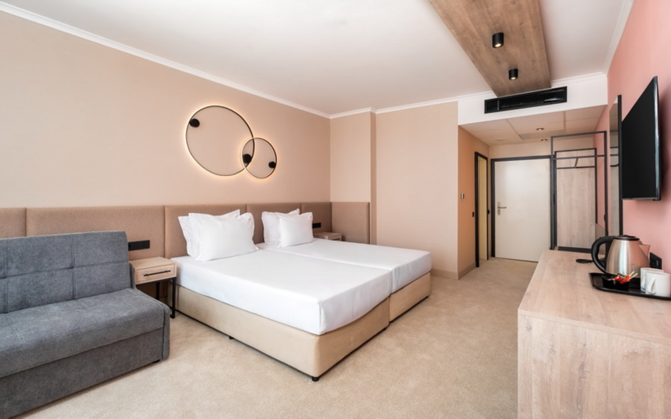 ДВОЙНА СТАЯ