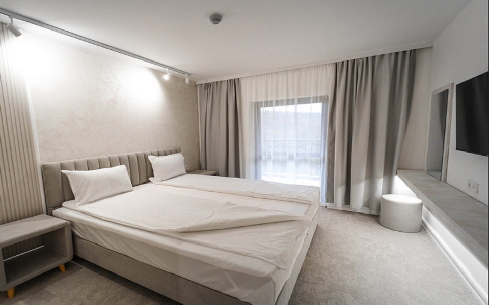 ДВОЙНА СТАЯ