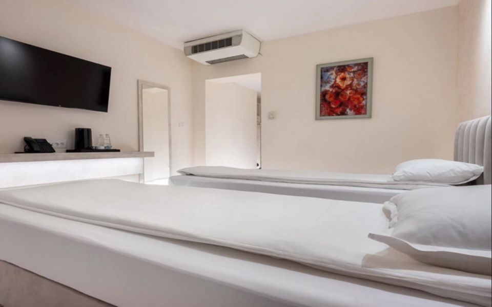 ДВОЙНА СТАЯ