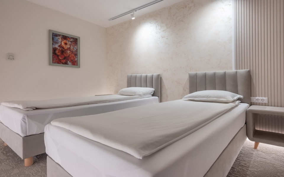 ДВОЙНА СТАЯ