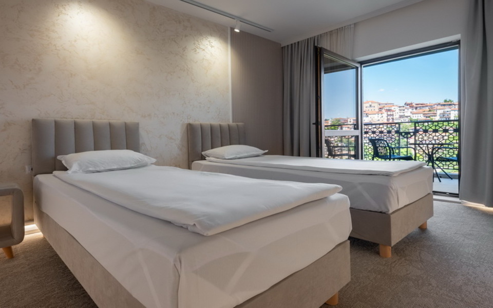 ДВОЙНА СТАЯ