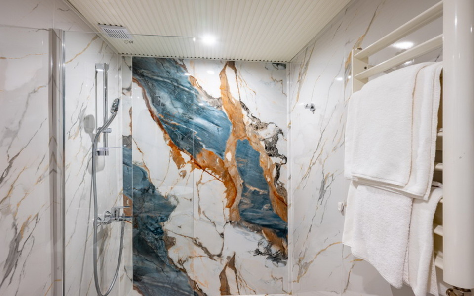 ДВОЙНА СТАЯ