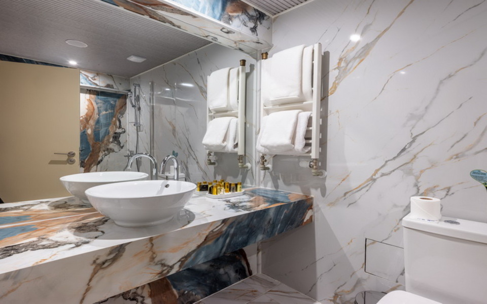 ДВОЙНА СТАЯ