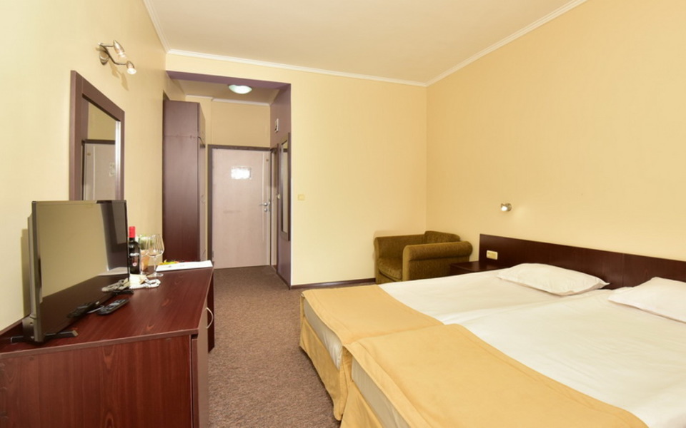 ДВОЙНА СТАЯ