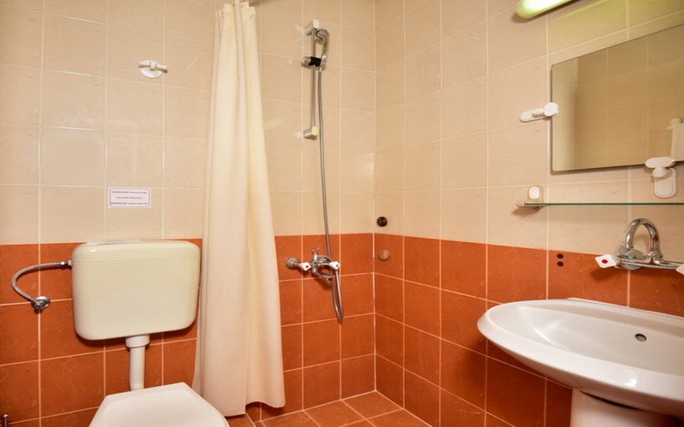 ДВОЙНА СТАЯ