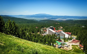 Боровец